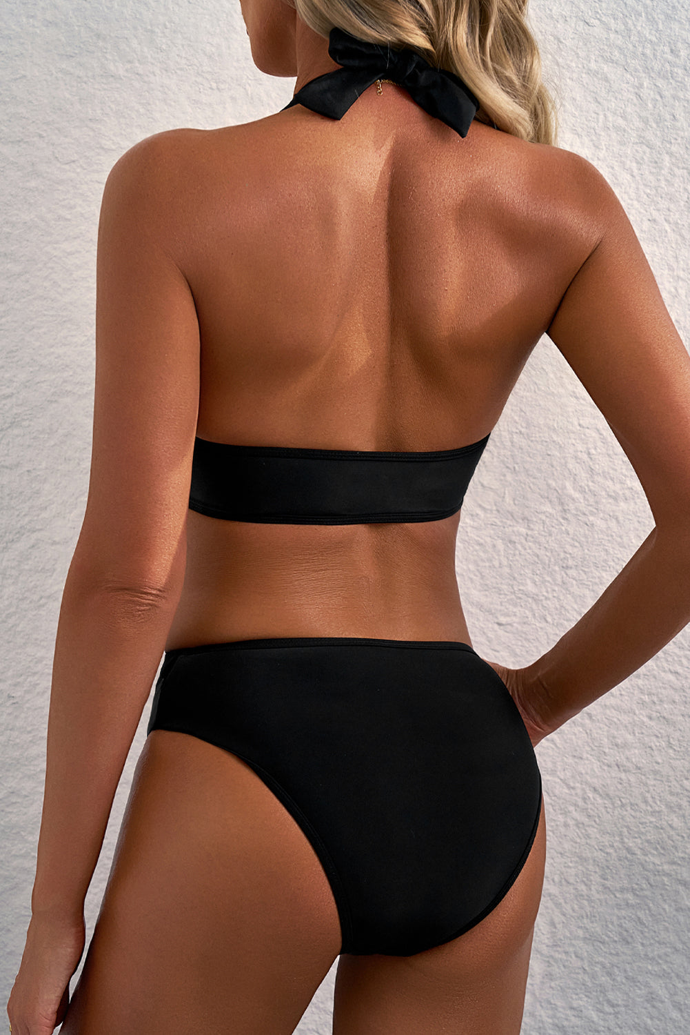 Black Sheer Mesh Edged Halter V Neck Push Up Bikini - Snoopy's Closet