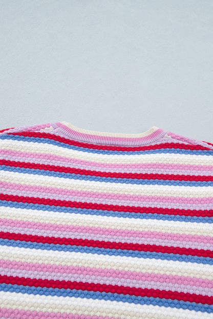 Multicolour Textured Stripes Knit Short Sleeve Sweater