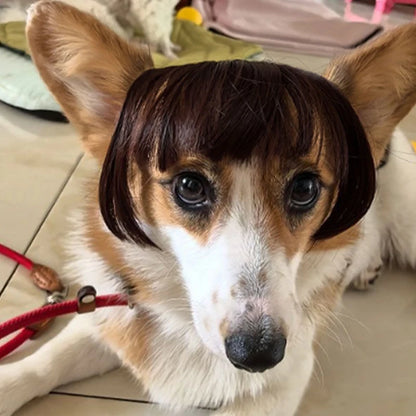 Creative Pet Decor Wig Thin Light Smooth Cat Wig Pet Supplies Funny Cat Wig Trimmable Pet Wig Cat Wig Supplies Pet Accessories