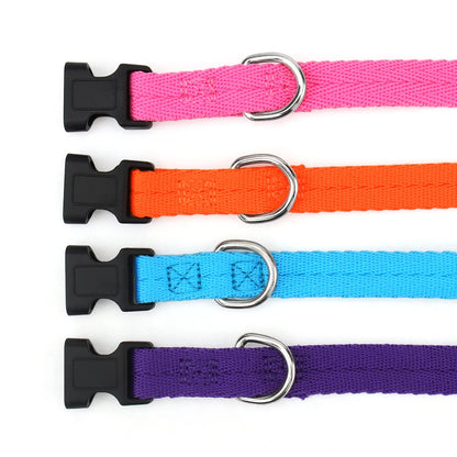 Adjustable Dog Collars for Small Medium Large Dogs,Thin Nylon Webbing & Quick Release Plastic Buckle Dog Collar Pet Accessories