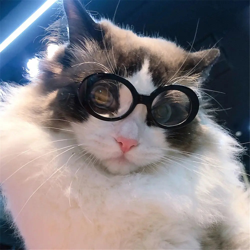 Cat Glasses Cool Pet Small Dog Fashion Round Glasses Pet Product For Little Dog Cat Sunglasses For Photography Pet Accessories