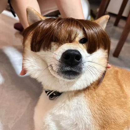 Creative Pet Decor Wig Thin Light Smooth Cat Wig Pet Supplies Funny Cat Wig Trimmable Pet Wig Cat Wig Supplies Pet Accessories