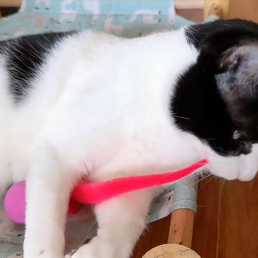 Plush Long Tail Ball Cat Toy Training Cat Interactive Ball Wood Ring Pet Toy