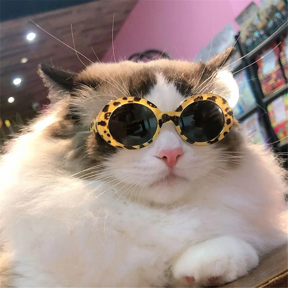 Cat Glasses Cool Pet Small Dog Fashion Round Glasses Pet Product For Little Dog Cat Sunglasses For Photography Pet Accessories