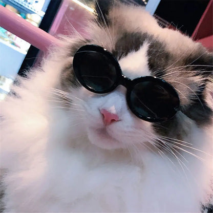 Cat Glasses Cool Pet Small Dog Fashion Round Glasses Pet Product For Little Dog Cat Sunglasses For Photography Pet Accessories
