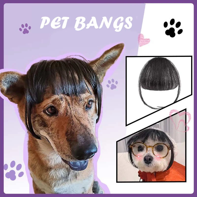 Creative Pet Decor Wig Thin Light Smooth Cat Wig Pet Supplies Funny Cat Wig Trimmable Pet Wig Cat Wig Supplies Pet Accessories
