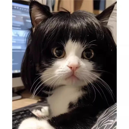 Creative Pet Decor Wig Thin Light Smooth Cat Wig Pet Supplies Funny Cat Wig Trimmable Pet Wig Cat Wig Supplies Pet Accessories
