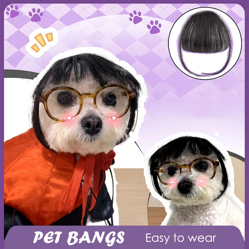 Creative Pet Decor Wig Thin Light Smooth Cat Wig Pet Supplies Funny Cat Wig Trimmable Pet Wig Cat Wig Supplies Pet Accessories