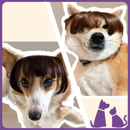 Creative Pet Decor Wig Thin Light Smooth Cat Wig Pet Supplies Funny Cat Wig Trimmable Pet Wig Cat Wig Supplies Pet Accessories